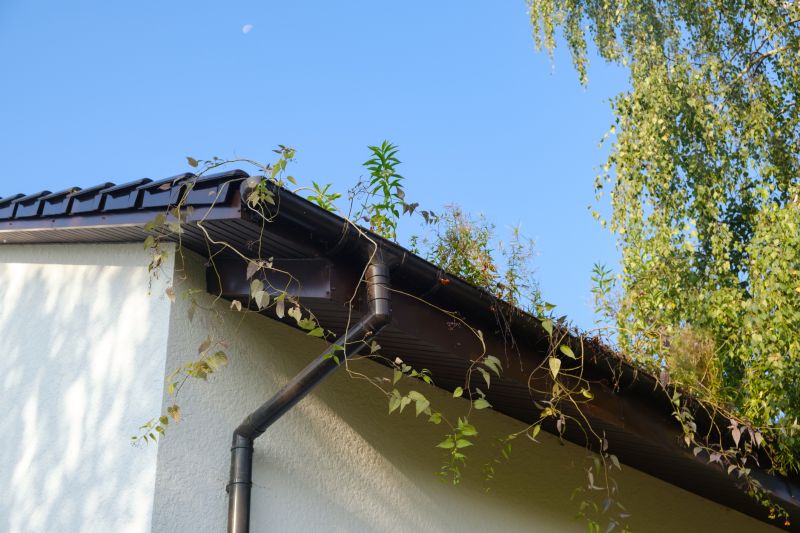 Box Gutters Installation